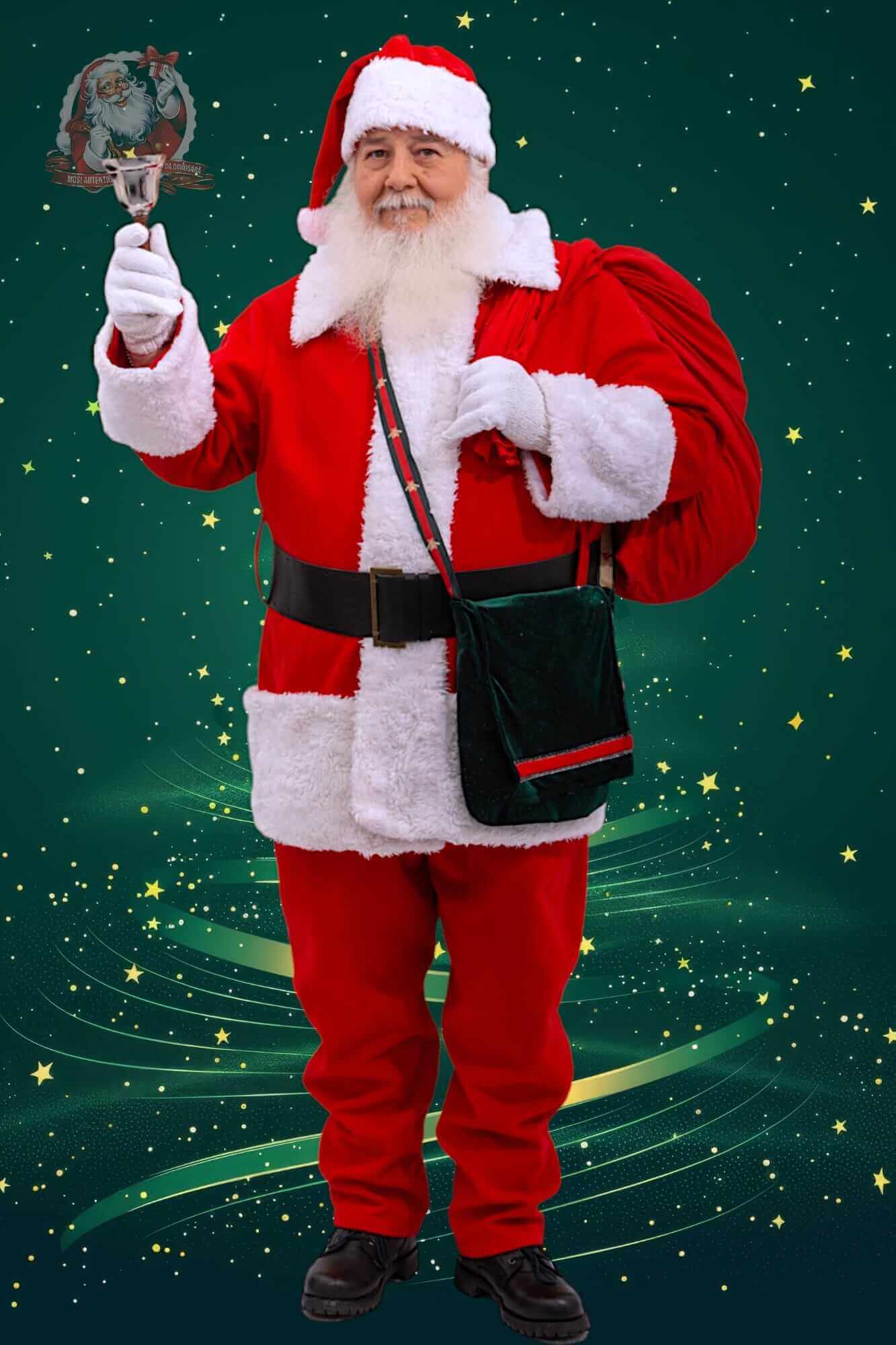 Nicolae H - Gallery 2